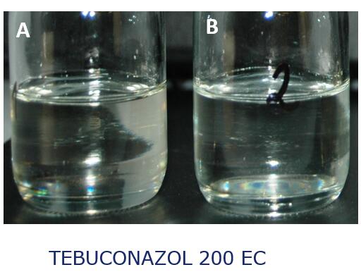 TEBUCONAZOL 200 EC